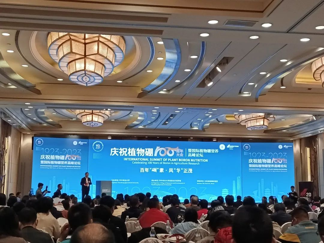 永信贵宾会217·(中国区)官网